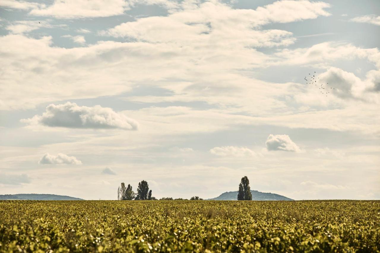 Como Le Montrachet Hotel Puligny-Montrachet Exterior photo